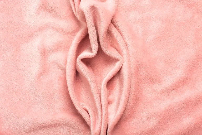 Vulvar Appearance